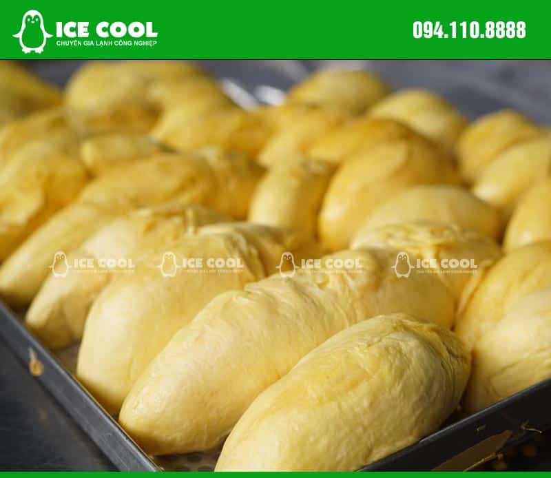 Durian frozen by ICE COOL quick freezer