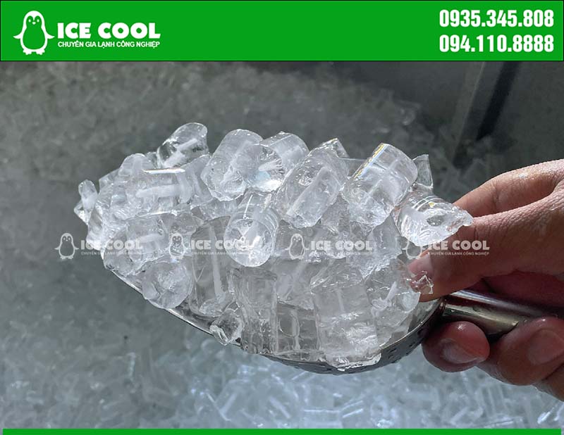 Máy làm đá tinh khiết ICE COOL