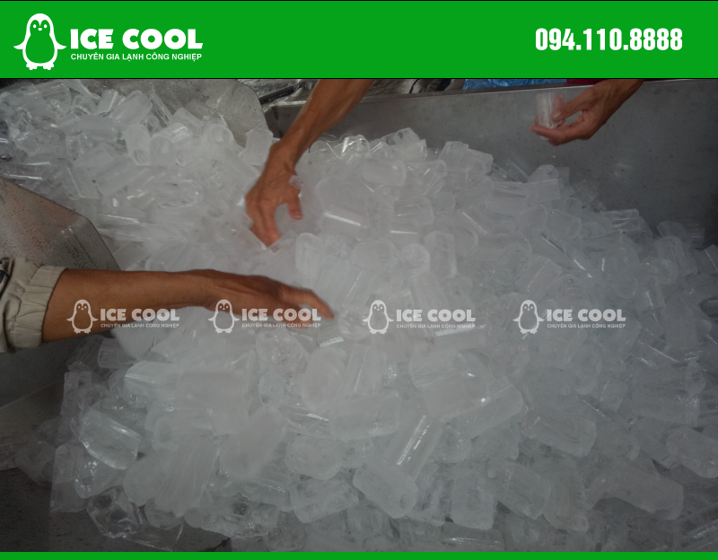 Supply 15 ton ice machine in Son Tra