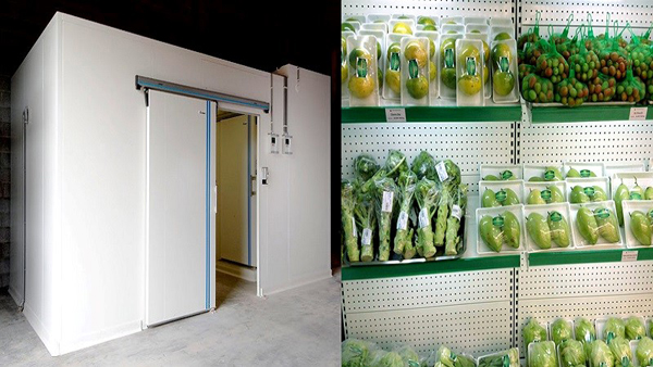 Cold storage is cheap and brings many practical benefits