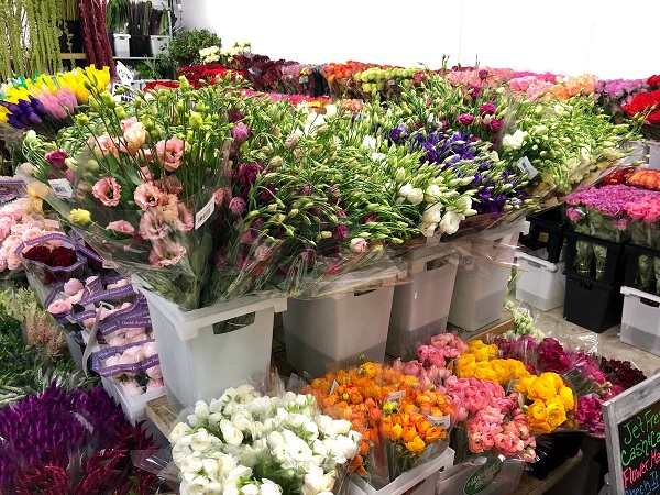 The price of cold storage to preserve flowers is always cheap and affordable