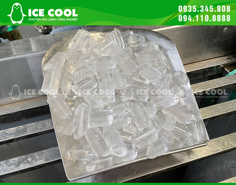 Ice cubes are made from ICE COOL ice cube machine