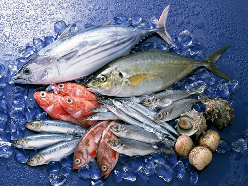 Preserving seafood with ice cubes